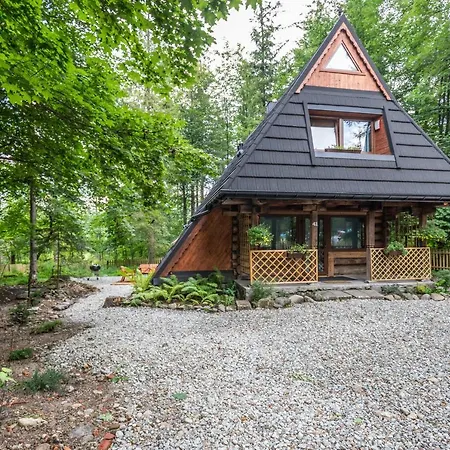 Chalet Mountain Shelter Ch41