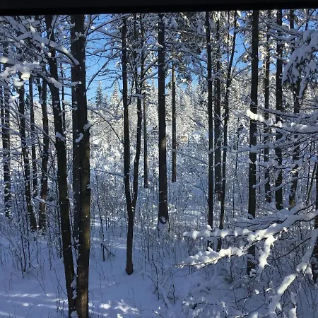 Mountain Shelter Ch41 Zakopane
