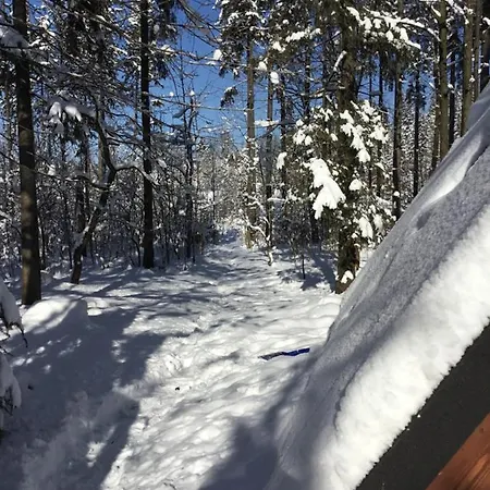 Mountain Shelter Ch41 Chalet *