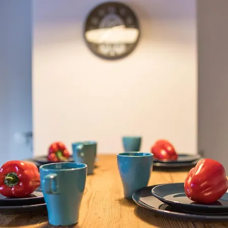 Chalet Mountain Shelter Ch41 Zakopane