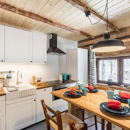 Chalet Mountain Shelter Ch41 *