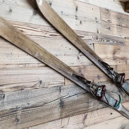 Mountain Shelter Ch41 Chalet