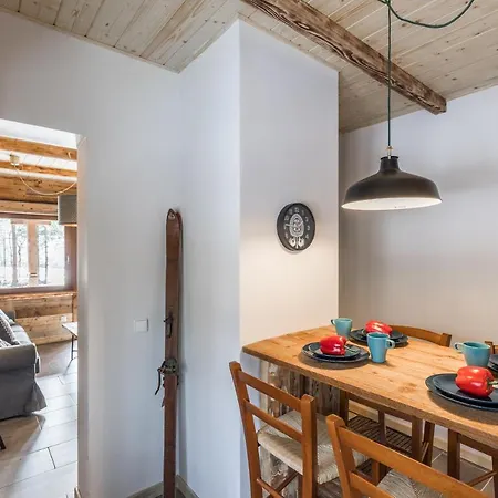 Chalet Mountain Shelter Ch41