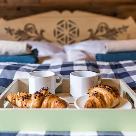 Chalet Mountain Shelter Ch41 *