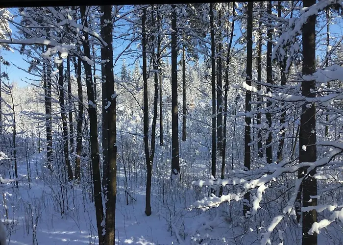 Mountain Shelter Ch41 扎科帕内