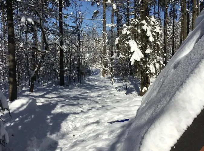 Mountain Shelter Ch41 샬레 *