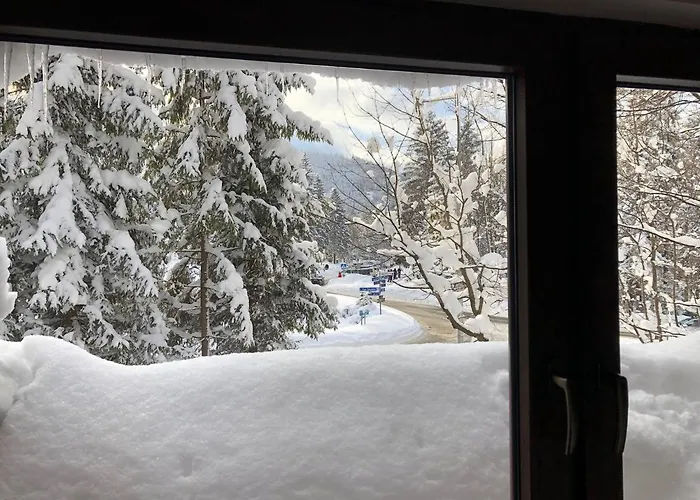 샬레 Mountain Shelter Ch41